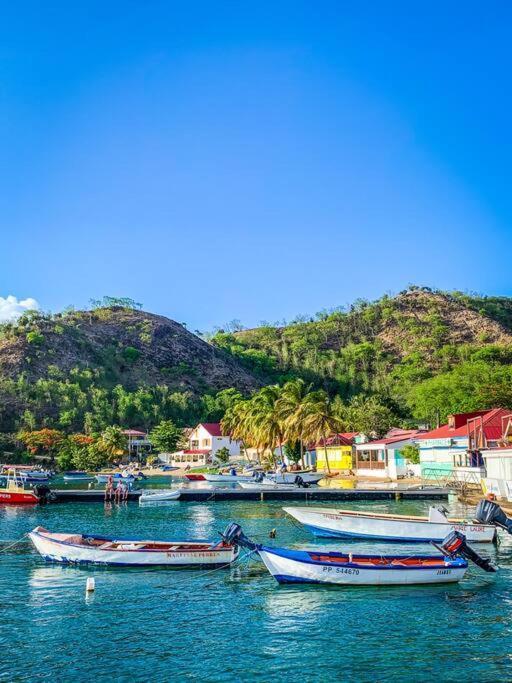 Villa Ker Iguane Terre De Haut Les Saintes Luaran gambar